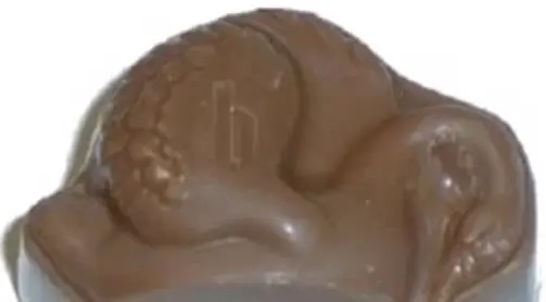 chocoladen Brugs Swaentje