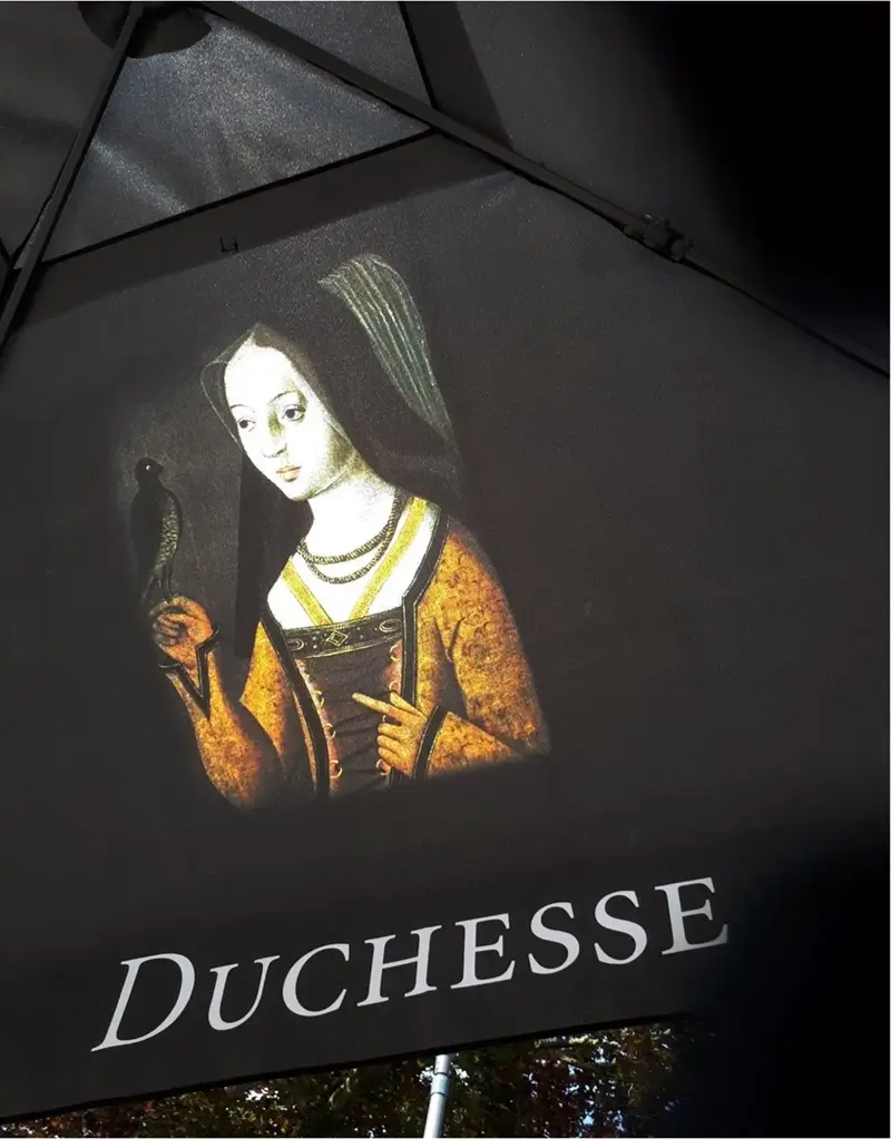 rondleiding bourgondische hertoginnen Brugge - S-wan